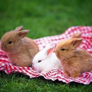 Meet your Posher, Akey